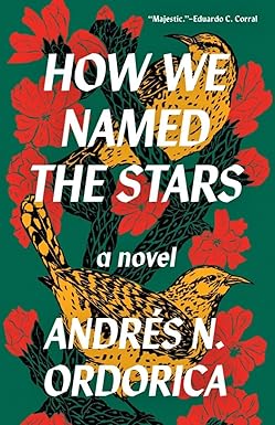 How We Named the Stars