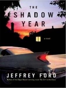 The Shadow Year