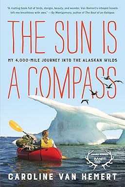 The Sun Is a Compass