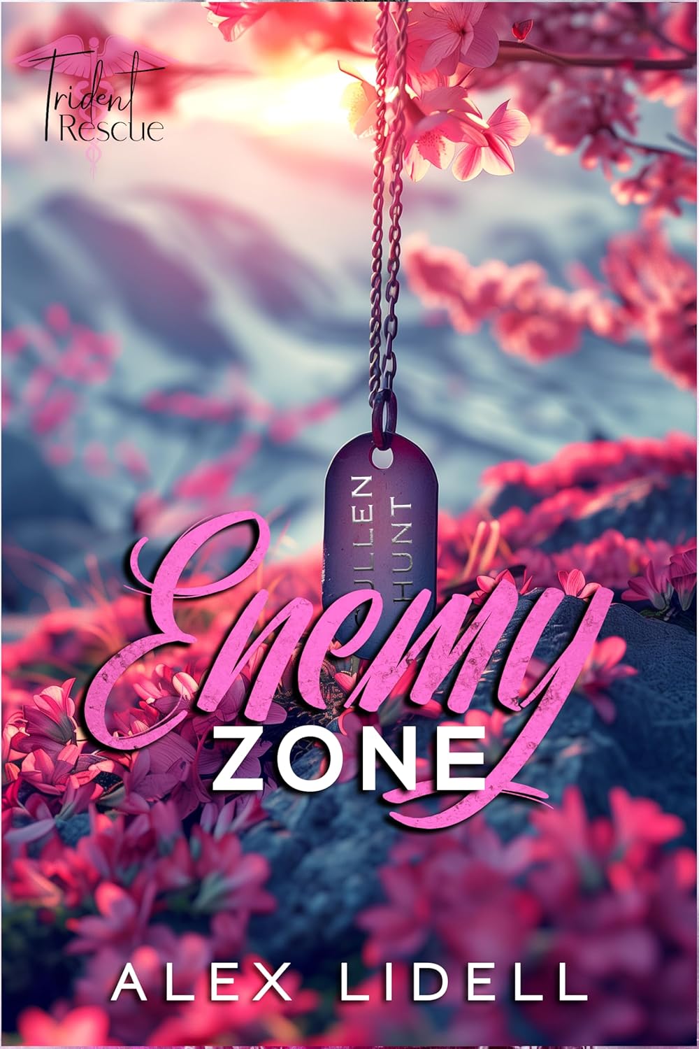 Enemy Zone