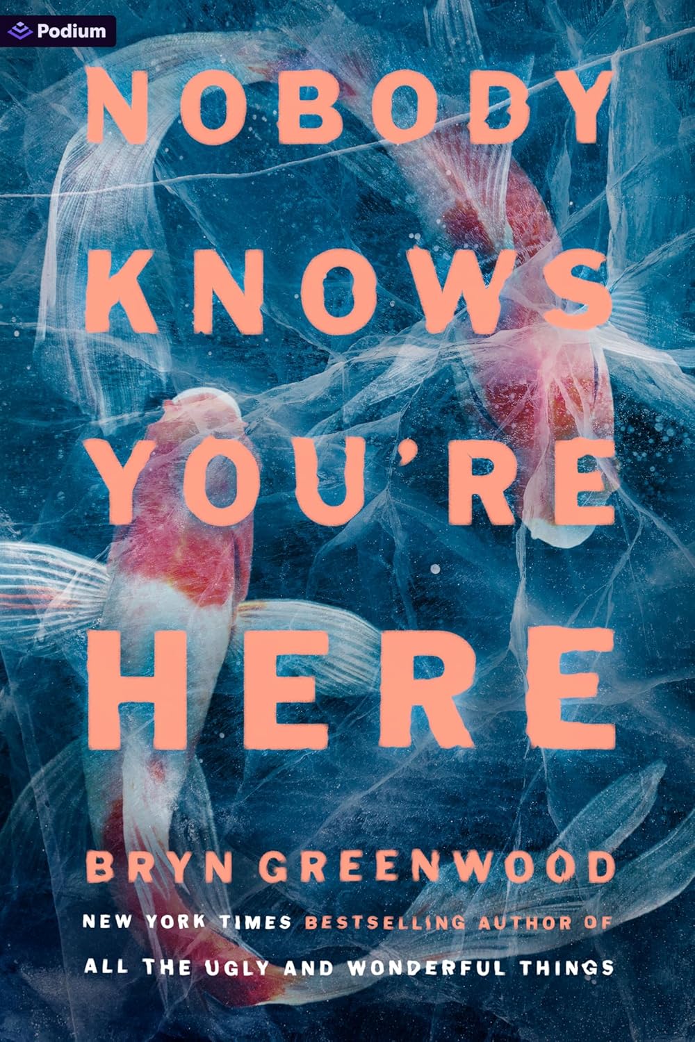 Nobody Knows You're Here