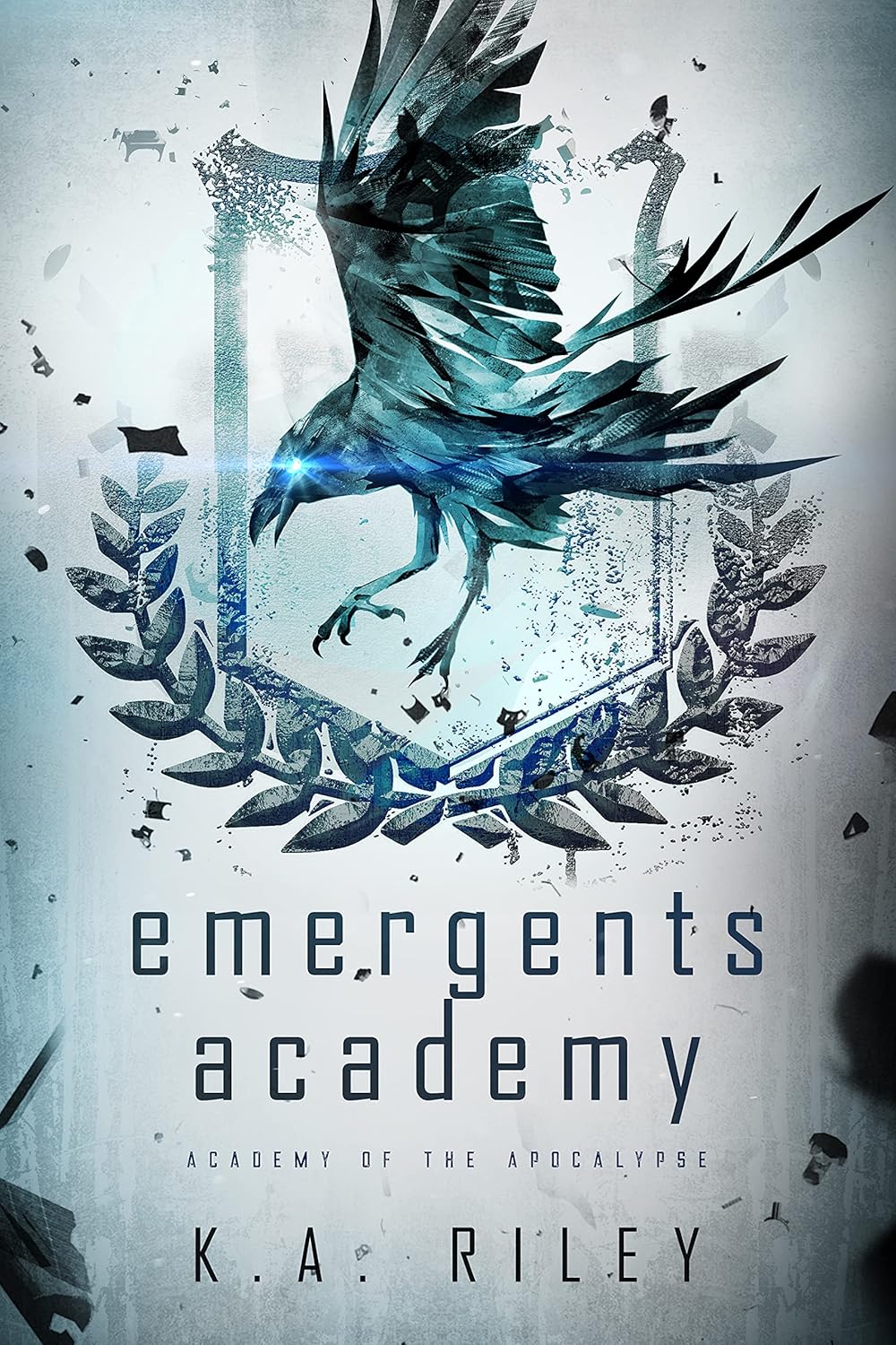 Emergents Academy