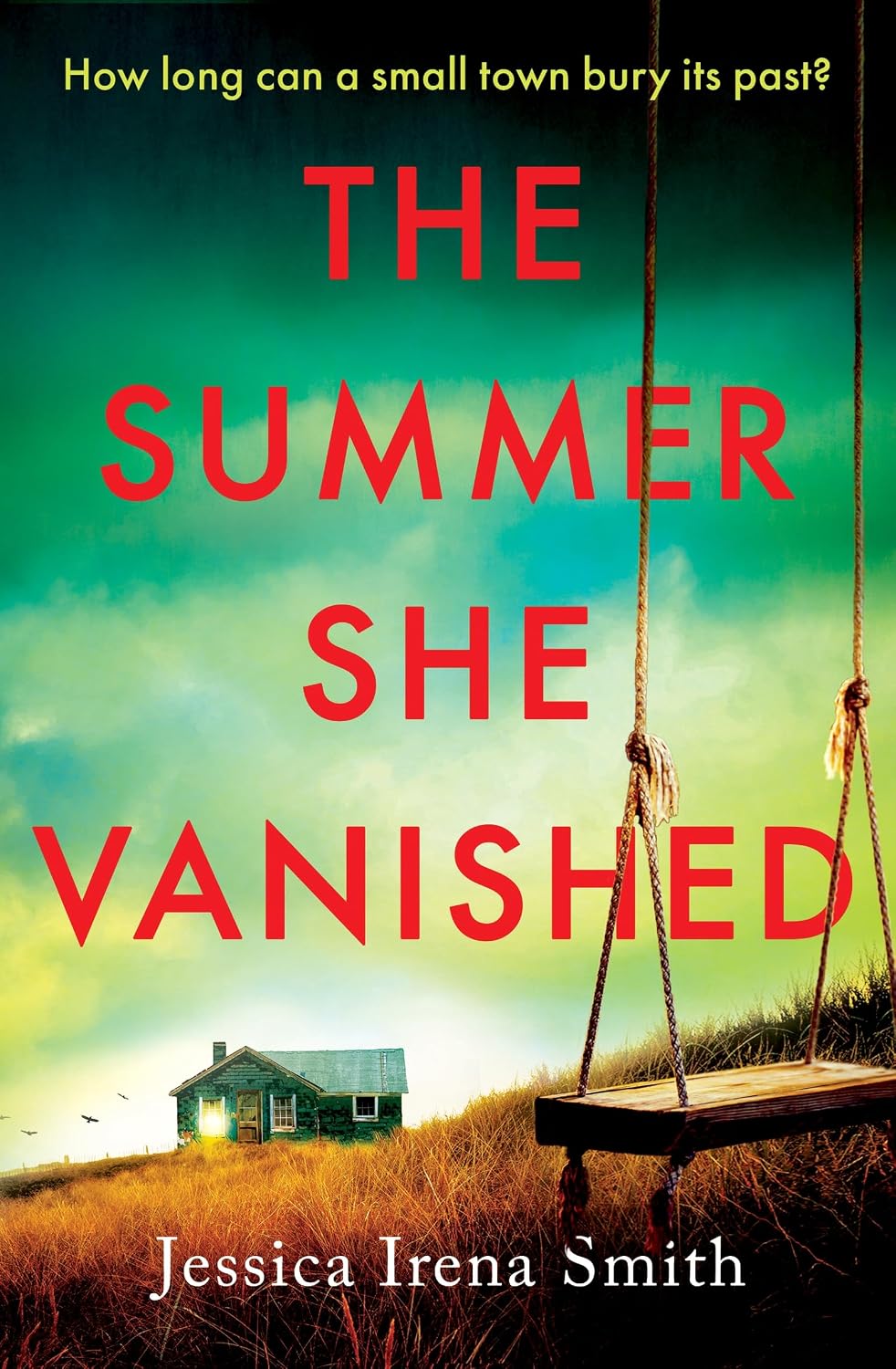 The Summer She Vanished