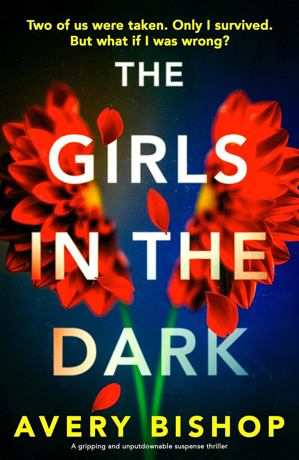 The Girls in the Dark