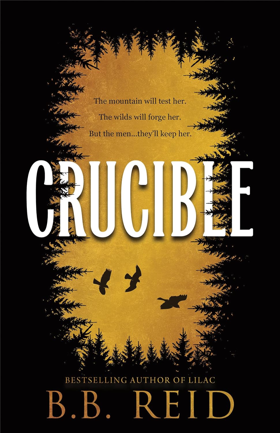 Crucible