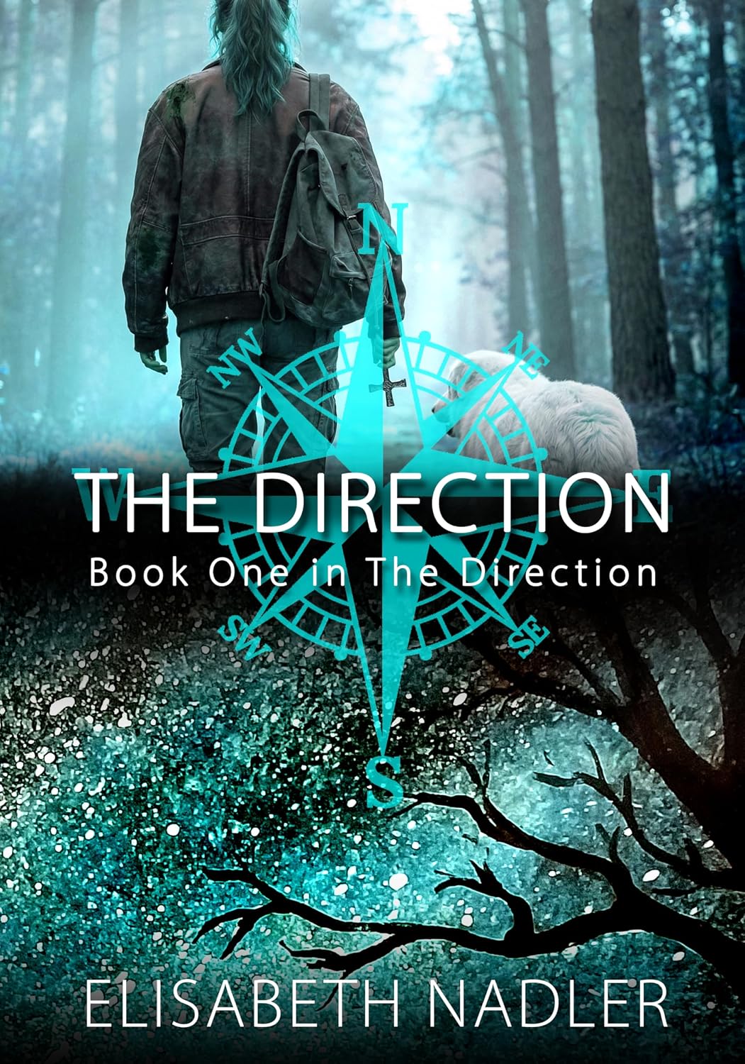 The Direction